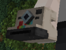 Polaroid Camera.PNG