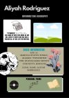 Green Information Report Koala Writing Poster.jpg