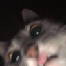 Tcb