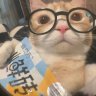 kittyp4wz