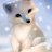 arcticfoxgirl22