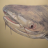 MekongMonster