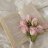 Bloomerparty