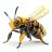1netbee