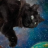 Crazycatguy